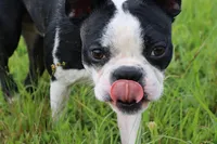 processed/5f2ceec0-9254-4745-aa84-fe1943df1430/facility/8cec3c05-06c1-4521-a18b-5016be001ee0