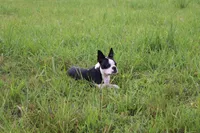 processed/5f2ceec0-9254-4745-aa84-fe1943df1430/facility/cde84cce-6e0b-4644-b28d-a8491a536de2