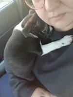 processed/5f2ceec0-9254-4745-aa84-fe1943df1430/facility/d1455867-fb2f-4e34-94b9-2ca5f4f38646