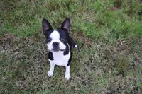 processed/5f2ceec0-9254-4745-aa84-fe1943df1430/facility/df0086b7-92c4-4f77-9e2d-4b17fc0f8703