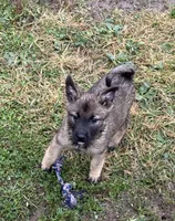 processed/5f3fcc30-8c2b-43ce-9764-d26b26d97f35/listing/2c03a646-bff3-45e4-aec6-1815ec51309f/49d524ee-7c34-4ccf-bf00-27ab151d8695