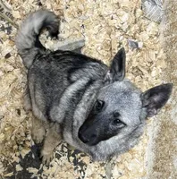 processed/5f3fcc30-8c2b-43ce-9764-d26b26d97f35/listing/2c03a646-bff3-45e4-aec6-1815ec51309f/a5b109d3-de34-4a5a-964c-559c088ae52b