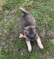 processed/5f3fcc30-8c2b-43ce-9764-d26b26d97f35/listing/2c03a646-bff3-45e4-aec6-1815ec51309f/f2fbf30b-19e1-4223-8c3c-9c6826792c48