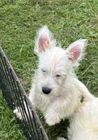 processed/5f3fcc30-8c2b-43ce-9764-d26b26d97f35/listing/434b5a7e-34f9-476a-92be-6b352981fff0/bd308baf-3d8b-40b6-afda-4b227a19b687