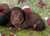 processed/5f3fcc30-8c2b-43ce-9764-d26b26d97f35/listing/53502d19-04fa-4843-be78-70dbae84a12a/8f5f8230-330d-4a04-bdb9-c2f612463701