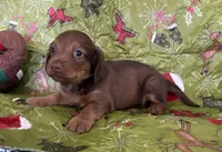 processed/5f3fcc30-8c2b-43ce-9764-d26b26d97f35/listing/53502d19-04fa-4843-be78-70dbae84a12a/bb11701a-bc57-4c07-ba15-a50055fa47f6