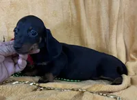 processed/5f3fcc30-8c2b-43ce-9764-d26b26d97f35/listing/6bfab33a-b17f-487b-8cbc-97db2b743b6e/ed84eff0-3f03-48e3-9306-dc221ce3ed55