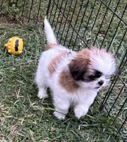 processed/5f3fcc30-8c2b-43ce-9764-d26b26d97f35/listing/adad826a-8b88-4bf7-9e1b-20a321f4d424/074bb07d-e2d2-4c4d-b703-e78d84340555