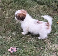 processed/5f3fcc30-8c2b-43ce-9764-d26b26d97f35/listing/adad826a-8b88-4bf7-9e1b-20a321f4d424/182e0bee-5843-49d5-b14b-e1f3ad25c1b4