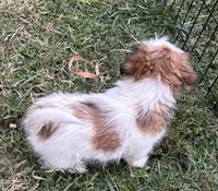 processed/5f3fcc30-8c2b-43ce-9764-d26b26d97f35/listing/adad826a-8b88-4bf7-9e1b-20a321f4d424/d1050bed-c200-400d-9589-9a242b434fa4