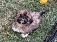 processed/5f3fcc30-8c2b-43ce-9764-d26b26d97f35/listing/b3c91e48-77d4-46bd-aaa1-a8b64e6cc00b/bcd15eae-dd24-4ff0-a6d2-8c81bdde5e3d