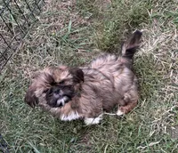 processed/5f3fcc30-8c2b-43ce-9764-d26b26d97f35/listing/b3c91e48-77d4-46bd-aaa1-a8b64e6cc00b/d8e4b5f1-24da-495f-88e7-3f10e3985e4b