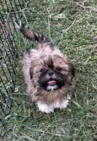 processed/5f3fcc30-8c2b-43ce-9764-d26b26d97f35/listing/b3c91e48-77d4-46bd-aaa1-a8b64e6cc00b/f52ff6c5-4b29-483c-8e84-8afa13c05dff