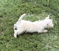 processed/5f3fcc30-8c2b-43ce-9764-d26b26d97f35/listing/db038693-d362-4748-814b-f4cc32870ee0/26dd27ea-2ada-46f7-a119-4e5543c07d58