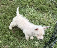 processed/5f3fcc30-8c2b-43ce-9764-d26b26d97f35/listing/db038693-d362-4748-814b-f4cc32870ee0/d118ade8-d52c-4010-80b7-bcc9d1b74045