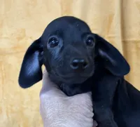 processed/5f3fcc30-8c2b-43ce-9764-d26b26d97f35/listing/e9f41ba0-93aa-486d-9ebe-67f2f6828b02/e0fcd9d7-5fa1-4f2c-871c-77a3153f203c