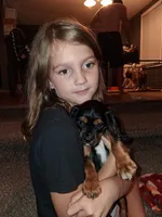 AKC Brownie, a male Cavalier King Charles Spaniel for sale in Brentwood, TN – 4 of 4