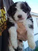 processed/5f53c177-18ca-4b23-b87a-d7ffd64048dd/listing/1046c8a1-d10c-4a9c-91d5-72e9548e709d/087a6cc0-e594-4e08-b594-ba883b9ff4f6