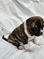 processed/5f59fdfa-050e-4f6e-b03c-c24edfd7ef12/listing/06fcb5c8-c99f-480b-93eb-705d9e5cb89b/1ac72f4c-cd1b-4e10-b4d3-740475a89155