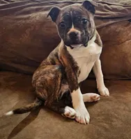 processed/5f59fdfa-050e-4f6e-b03c-c24edfd7ef12/listing/06fcb5c8-c99f-480b-93eb-705d9e5cb89b/56499ee2-dc00-411e-9c2b-901a5435b61e