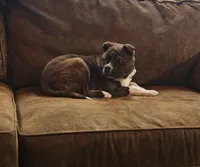 processed/5f59fdfa-050e-4f6e-b03c-c24edfd7ef12/listing/06fcb5c8-c99f-480b-93eb-705d9e5cb89b/64d18167-80f8-4cce-ace0-865e8e799453