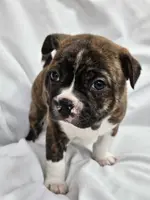 processed/5f59fdfa-050e-4f6e-b03c-c24edfd7ef12/listing/06fcb5c8-c99f-480b-93eb-705d9e5cb89b/76b57264-dfa8-4672-80af-b83489dd2212