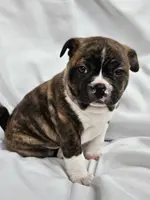 processed/5f59fdfa-050e-4f6e-b03c-c24edfd7ef12/listing/06fcb5c8-c99f-480b-93eb-705d9e5cb89b/8f99860c-a925-453c-9c5e-31d2b79f3482