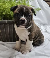 processed/5f59fdfa-050e-4f6e-b03c-c24edfd7ef12/listing/06fcb5c8-c99f-480b-93eb-705d9e5cb89b/aff17877-a976-4778-a589-ea7e67e95d01