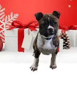 processed/5f59fdfa-050e-4f6e-b03c-c24edfd7ef12/listing/06fcb5c8-c99f-480b-93eb-705d9e5cb89b/bef0d2e3-16da-4a40-a405-71ea271e2e20