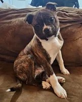 processed/5f59fdfa-050e-4f6e-b03c-c24edfd7ef12/listing/06fcb5c8-c99f-480b-93eb-705d9e5cb89b/e13e373c-d2eb-46c9-ad18-89763d100764