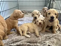 processed/5f5abc57-932e-466c-8b16-731ac18f151c/facility/210e431d-34cc-4f30-a861-6491b9c0b971