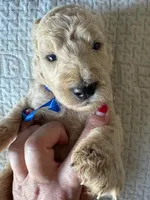 processed/5f5abc57-932e-466c-8b16-731ac18f151c/facility/366c9c34-0dfc-42bb-9a62-61d40dc77e32