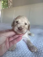 processed/5f5abc57-932e-466c-8b16-731ac18f151c/facility/ac323f96-0a3d-4153-81cc-d8b72a7e7cb0