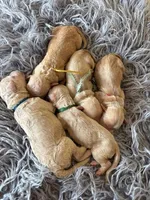 processed/5f5abc57-932e-466c-8b16-731ac18f151c/facility/cf2709ef-fbec-4af0-898f-52d1b0ef2994