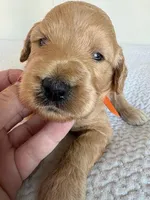 processed/5f5abc57-932e-466c-8b16-731ac18f151c/facility/f0dca369-ff44-46b9-8956-84740e0b2504