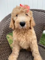 processed/5f5abc57-932e-466c-8b16-731ac18f151c/facility/fadac7fe-6dbc-4afb-92df-366c89ceaeec