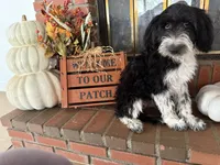 processed/5f5e87f0-53e9-4ba5-ac7b-aeba33e215f4/listing/14ebc0c2-c313-4d58-ae67-bdd438cadd89/258df672-bc54-4437-9b67-6f0a29611eaa