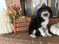 processed/5f5e87f0-53e9-4ba5-ac7b-aeba33e215f4/listing/14ebc0c2-c313-4d58-ae67-bdd438cadd89/7eddfacd-90a9-4381-b735-2e5138c293a1