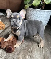 processed/5f72dd42-e64a-460c-80ce-f9c5c3e29315/facility/2532722e-254d-4cfd-bcb6-3517b4fb8633