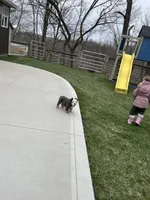 processed/5f72dd42-e64a-460c-80ce-f9c5c3e29315/facility/30fd55bd-0676-4a9e-9fae-1bcbfe1497e9