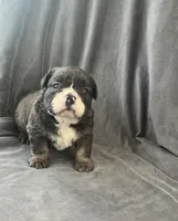 processed/5f72dd42-e64a-460c-80ce-f9c5c3e29315/listing/10fa062e-387c-499f-9d25-5fd16f9d9be9/234fa35f-ce87-4d71-a5e4-2cd41fd0029b