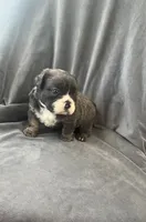 processed/5f72dd42-e64a-460c-80ce-f9c5c3e29315/listing/10fa062e-387c-499f-9d25-5fd16f9d9be9/26bc2132-0f20-413b-866e-12ace2382676