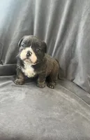 processed/5f72dd42-e64a-460c-80ce-f9c5c3e29315/listing/10fa062e-387c-499f-9d25-5fd16f9d9be9/64236a0f-be99-47f5-8f6d-e1aa22af589c