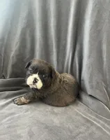 processed/5f72dd42-e64a-460c-80ce-f9c5c3e29315/listing/10fa062e-387c-499f-9d25-5fd16f9d9be9/d14f4021-5b45-4609-9be2-d35a24149469