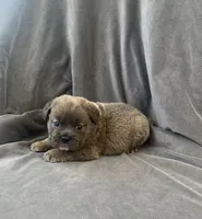 processed/5f72dd42-e64a-460c-80ce-f9c5c3e29315/listing/6bd81554-6172-45a4-952a-0e9a5ec70501/21a7882b-aa91-403e-9c88-ce5dcd91119b