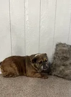 processed/5f72dd42-e64a-460c-80ce-f9c5c3e29315/listing/6bd81554-6172-45a4-952a-0e9a5ec70501/456096b5-e8db-4437-a01e-cfcb550bd5f8