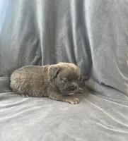 processed/5f72dd42-e64a-460c-80ce-f9c5c3e29315/listing/6bd81554-6172-45a4-952a-0e9a5ec70501/f901766c-cafe-4844-8ea9-32db97b558aa