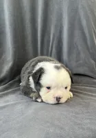 processed/5f72dd42-e64a-460c-80ce-f9c5c3e29315/listing/8087c29f-6fb2-46ae-a714-c33f86d967e6/657358af-a498-4973-8adc-3cdaa23b2630