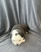 processed/5f72dd42-e64a-460c-80ce-f9c5c3e29315/listing/8087c29f-6fb2-46ae-a714-c33f86d967e6/a6731a11-dc2d-4cf3-aed0-41a220e16a0b