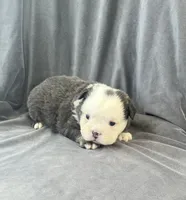 processed/5f72dd42-e64a-460c-80ce-f9c5c3e29315/listing/8087c29f-6fb2-46ae-a714-c33f86d967e6/b62731de-fa86-446f-809e-bda88be87c09